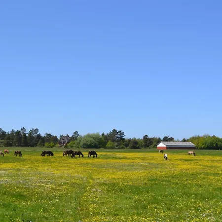 Withulf - 2-3km From The Sea In Western Jutland By Interhome *