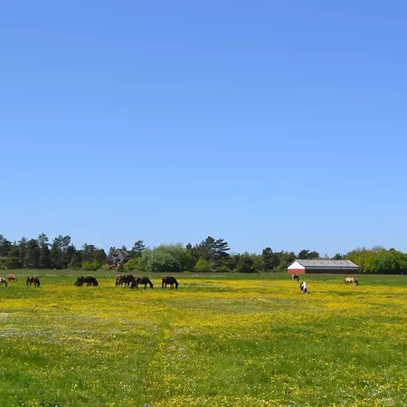 Withulf - 2-3km From The Sea By Interhome Appartement *